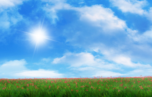 808027 (a): :4500x2859